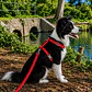 Set Arnés + correa de Tela para Perros Talla L Rojo - Miniatura 3