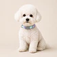 Collar Ajustable para Perros Talla S Lila y Turquesa - Miniatura 1