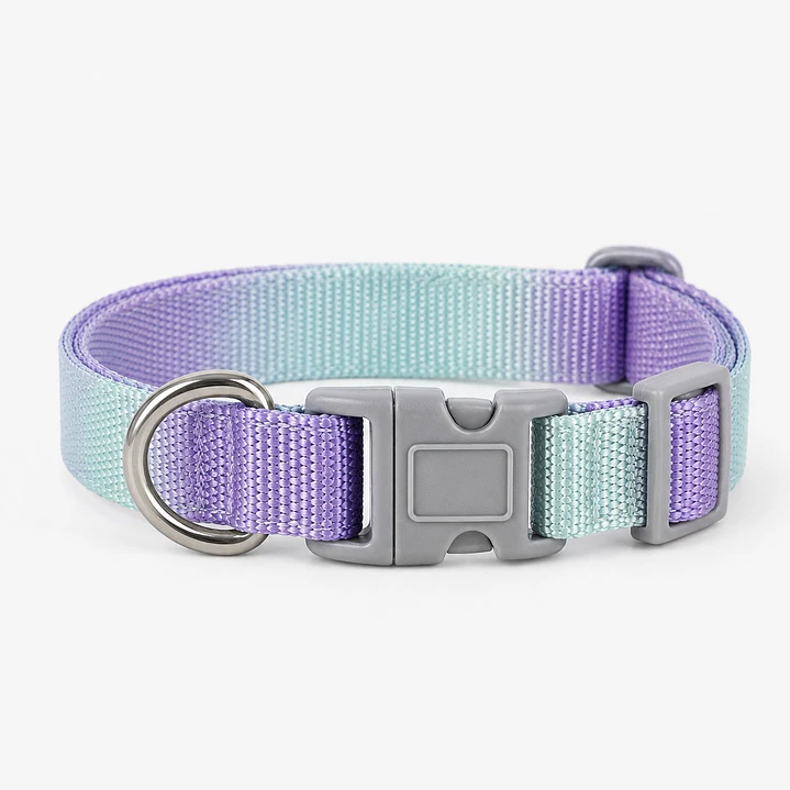 Collar Ajustable para Perros Talla S Lila y Turquesa 2