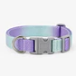Collar Ajustable para Perros Talla S Lila y Turquesa - Miniatura 2