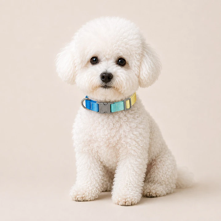 Collar Ajustable para Perros Talla S Azul y Amarillo Degradé 1