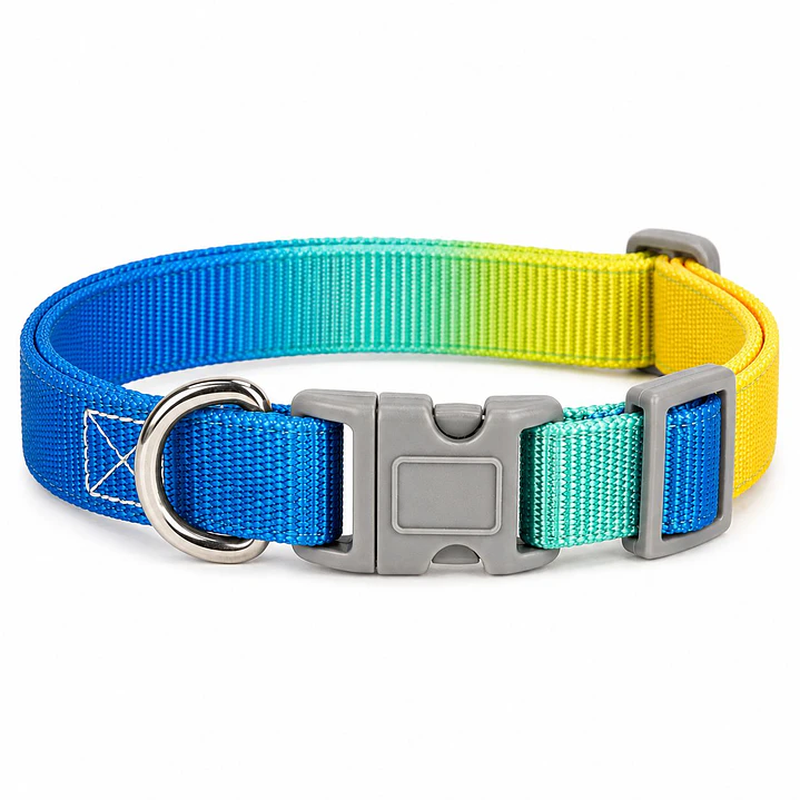 Collar Ajustable para Perros Talla S Azul y Amarillo Degradé 2