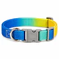 Collar Ajustable para Perros Talla S Azul y Amarillo Degradé - Miniatura 2