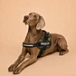 Arnés Chaleco Acolchado para Perros Talla 2XL – Militar - Miniatura 2