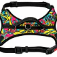 Arnés Chaleco Acolchado para Perros Talla XL – Colores Abstractos - Miniatura 2