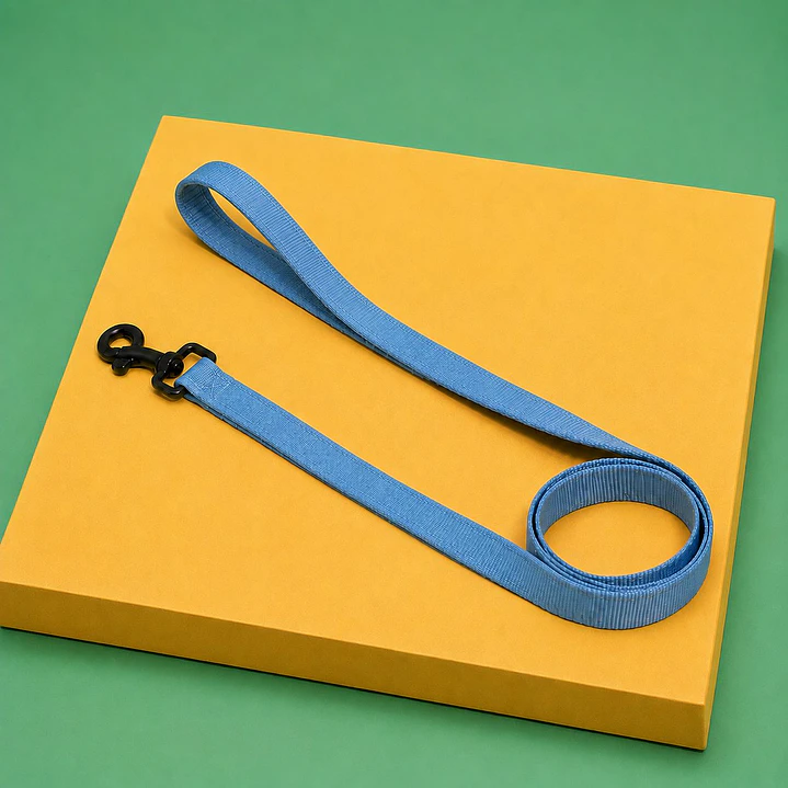 Correa para Perros 1,5 mts – Cinta 2,5 cm 2