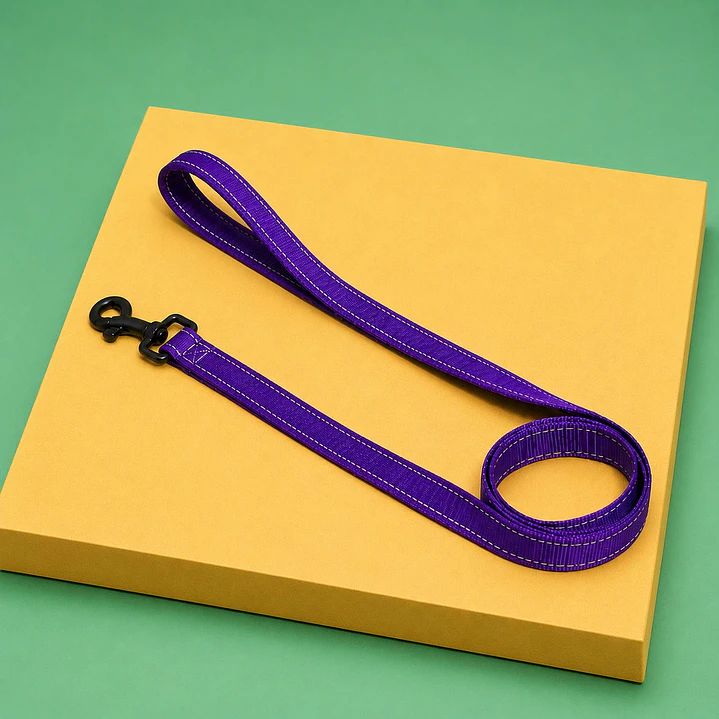 Correa para Perros 1,5 mts – Cinta 2,5 cm 4