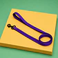 Correa para Perros 1,5 mts – Cinta 2,5 cm - Miniatura 4