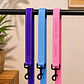 Correa para Perros 1,5 mts – Cinta 2,5 cm - Miniatura 1