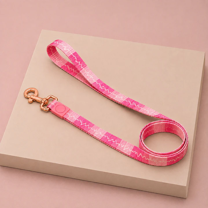 Correa Corta para Perros 1,2 mts 6