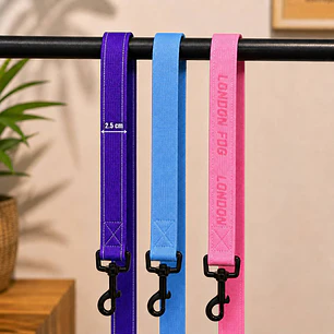 Correa para Perros 1,5 mts – Cinta 2,5 cm