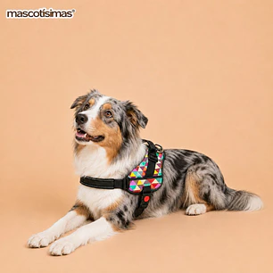 Arnés Chaleco Acolchado para Perros Talla XL – Triángulos de Colores