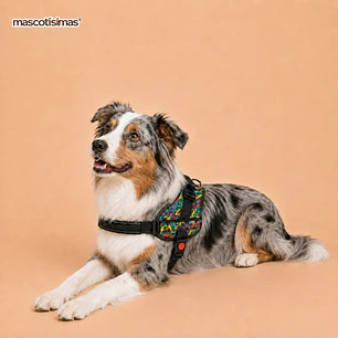 Arnés Chaleco Acolchado para Perros Talla XL – Colores Abstractos