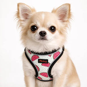 Arnés de pecho para Perros Talla XS Sandía