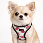 Arnés de pecho para Perros Talla XS Sandía - Miniatura 1