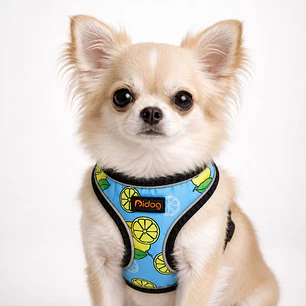 Arnés de pecho para Perros Talla XS Limones