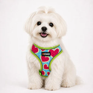 Arnés de pecho para Perros Talla S Verde Corazones