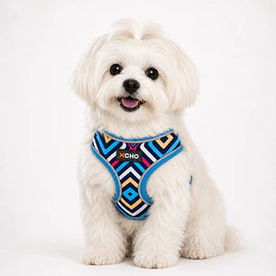 Arnés de pecho para Perros Talla S Rombos de Colores