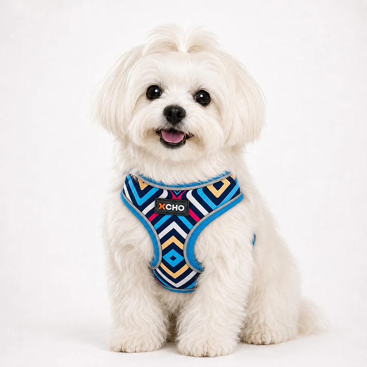 Arnés de pecho para Perros Talla S Rombos de Colores 1