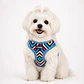 Arnés de pecho para Perros Talla S Rombos de Colores - Miniatura 1