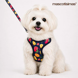 Set Arnés con Correa para Perros Talla S Azul