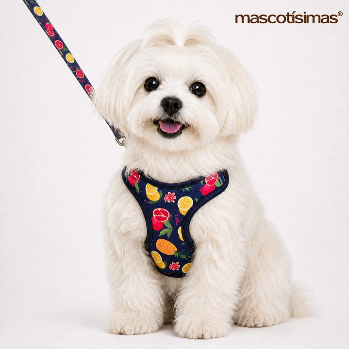 Set Arnés con Correa para Perros Talla S Azul 1