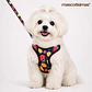 Set Arnés con Correa para Perros Talla S Azul - Miniatura 1