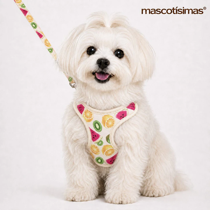 Set Arnés con Correa para Perros Talla S Beige 1