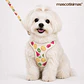 Set Arnés con Correa para Perros Talla S Beige - Miniatura 1