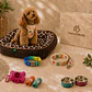 Kit Bienvenida Perro Talla S - 3 Combinaciones - Miniatura 3