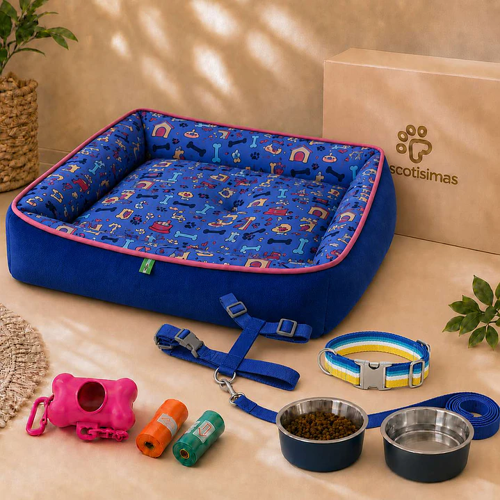Kit Bienvenida Perro Talla L - 4 Combinaciones 1