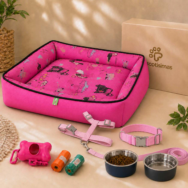Kit Bienvenida Perro Talla L - 4 Combinaciones 2