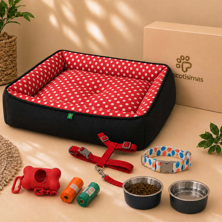 Kit Bienvenida Perro Talla L - 4 Combinaciones 3