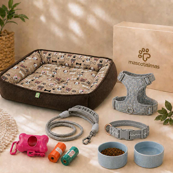 Kit Bienvenida Perro Talla M – 3 Combinaciones 1