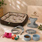 Kit Bienvenida Perro Talla M – 3 Combinaciones - Miniatura 1
