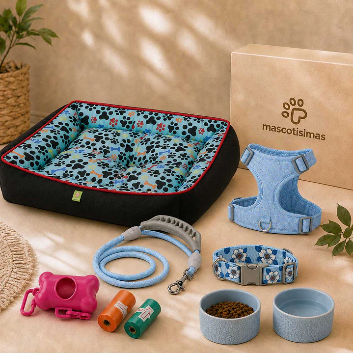 Kit Bienvenida Perro Talla M – 3 Combinaciones 2