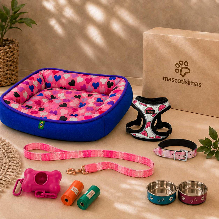 Kit Bienvenida Perro Talla XS - 2 Combinaciones 2
