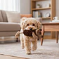 Peluche Perrito con Cuerda para Perros - Miniatura 4