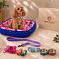 Kit Bienvenida Perro Talla S - 3 Combinaciones - Miniatura 1