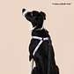 Arnés Deluxe Ajustable para Perros Talla L Rosado y Lila - Miniatura 2