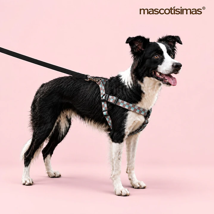 Arnés Deluxe Ajustable para Perros Talla L Cuadrillé 3