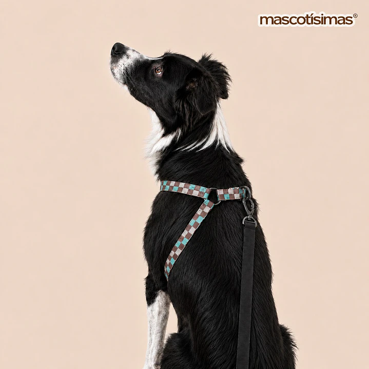 Arnés Deluxe Ajustable para Perros Talla L Cuadrillé 2