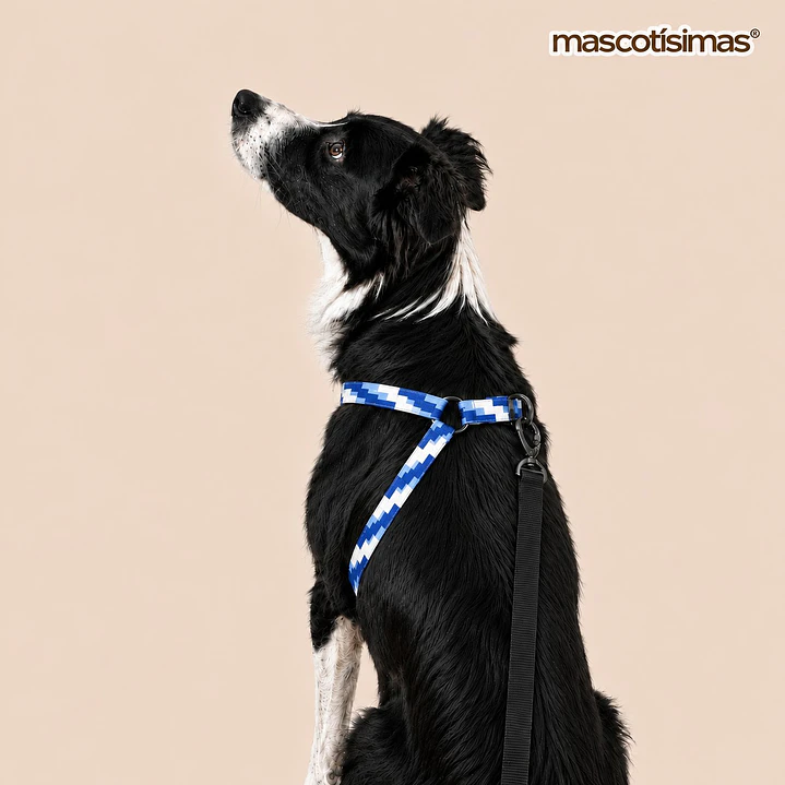 Arnés Deluxe Ajustable para Perros Talla L Celeste, Azul y Blanco 2