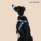 Arnés Deluxe Ajustable para Perros Talla L Celeste, Azul y Blanco - Miniatura 2