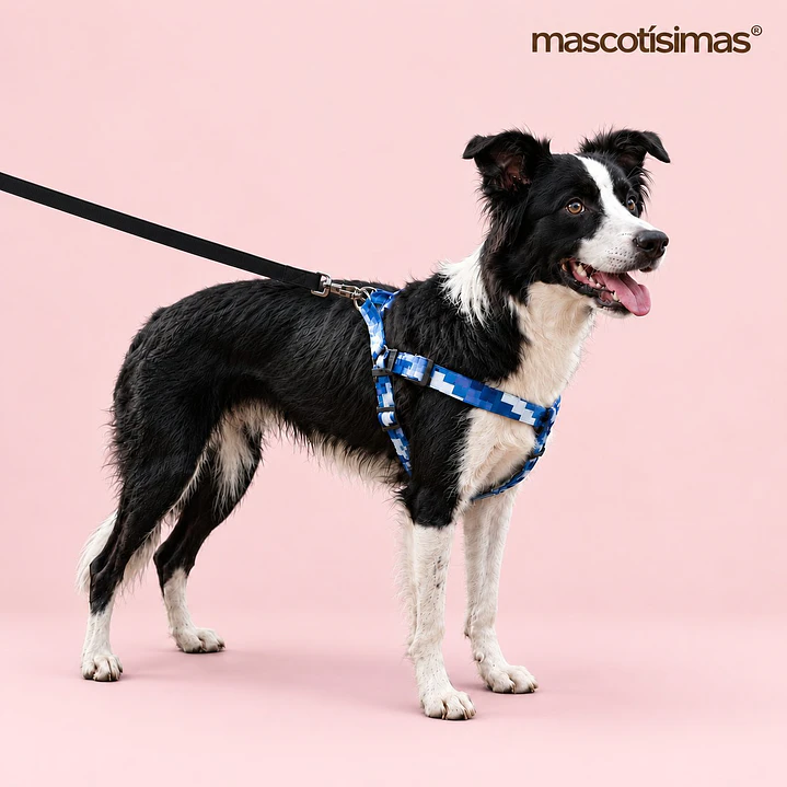 Arnés Deluxe Ajustable para Perros Talla L Celeste, Azul y Blanco 3