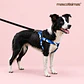 Arnés Deluxe Ajustable para Perros Talla L Celeste, Azul y Blanco - Miniatura 3