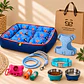 Kit Bienvenida Perro Talla M – 3 Combinaciones - Miniatura 3