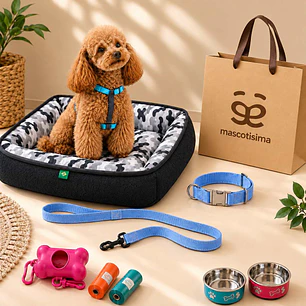 Kit Bienvenida Perro Talla S - 3 Combinaciones