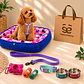 Kit Bienvenida Perro Talla S - 3 Combinaciones - Miniatura 2