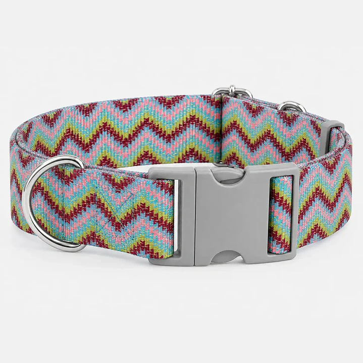 Collar Ajustable para Perros Talla XXL – ZigZag Multicolor 2
